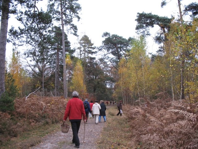 2007 11 Myco poteau des Quenouilles 06